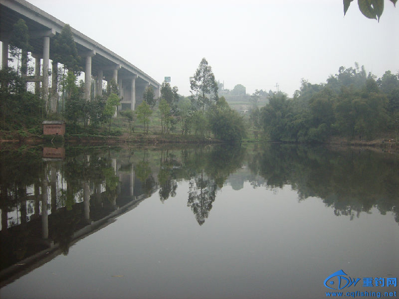 IMG05284.JPG