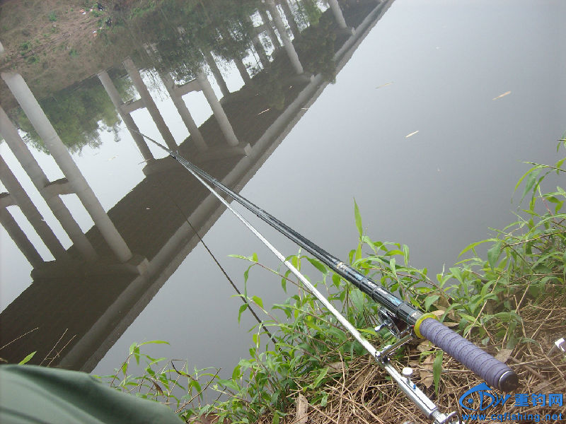 IMG05285.JPG
