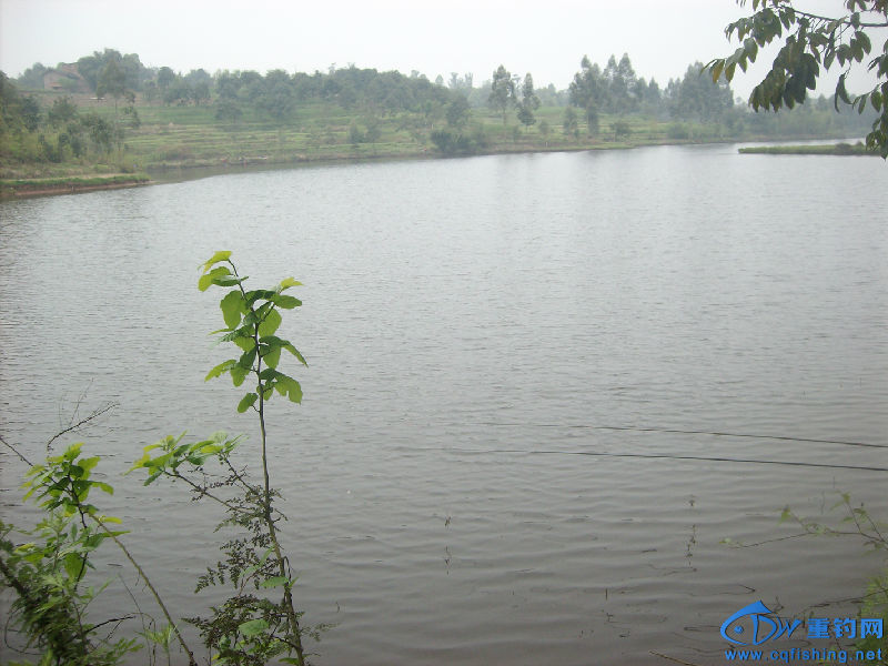 IMG05295.JPG