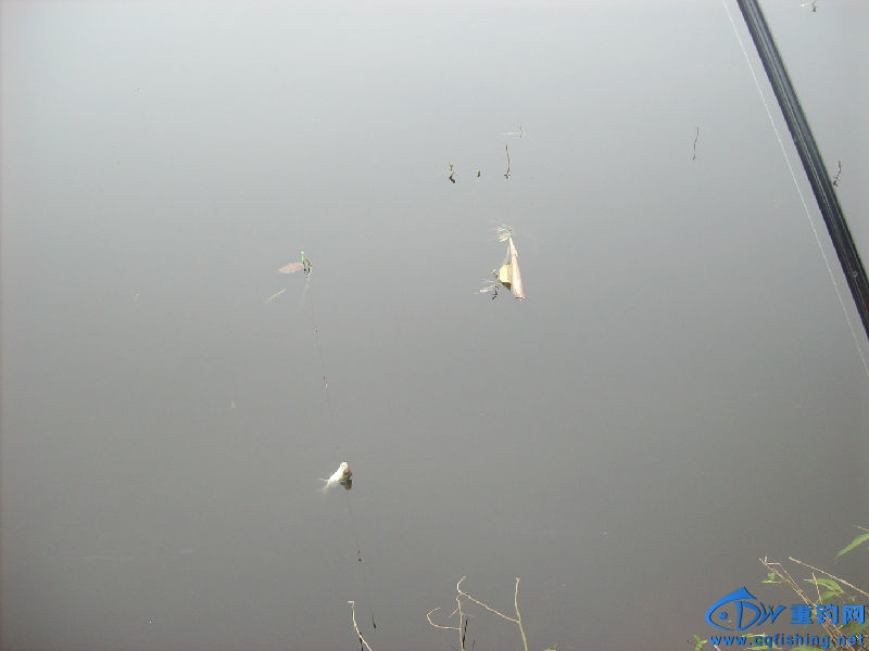 IMG05289.JPG