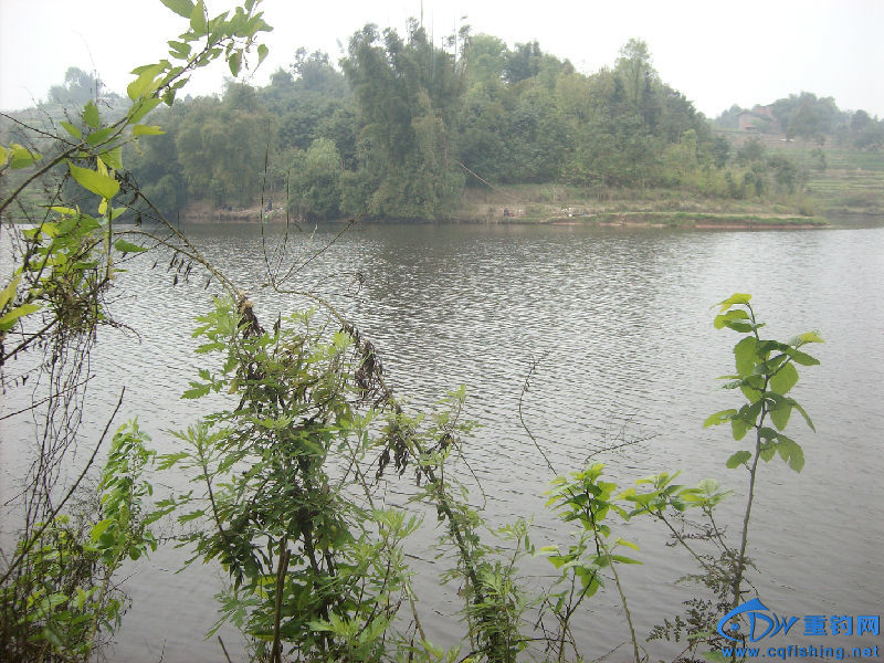 IMG05296.JPG