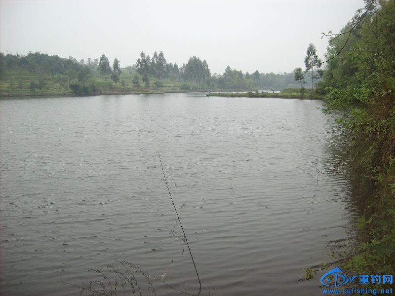 IMG05297.JPG