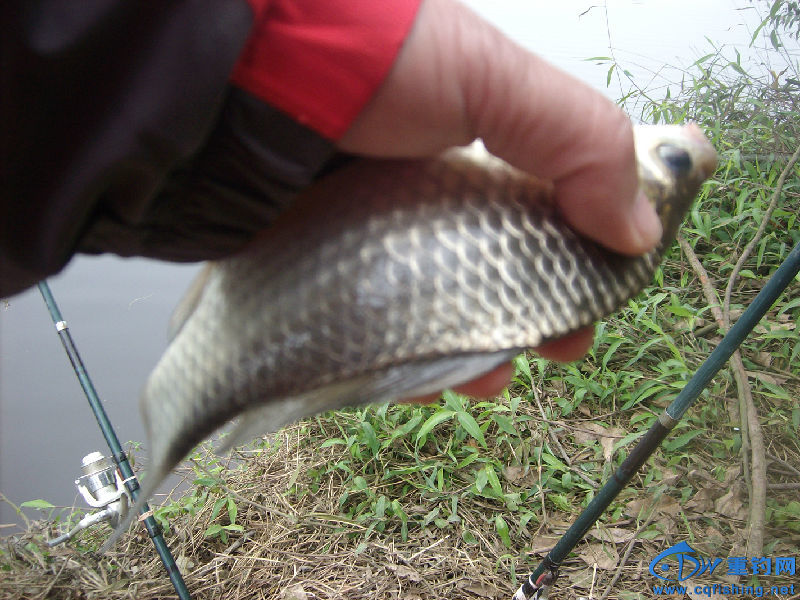 IMG05292.JPG