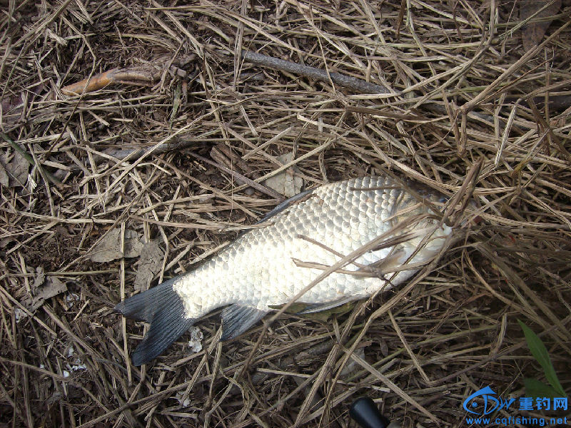 IMG05304.JPG