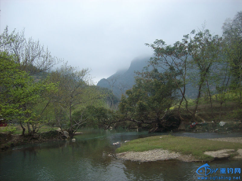 IMG05053.JPG