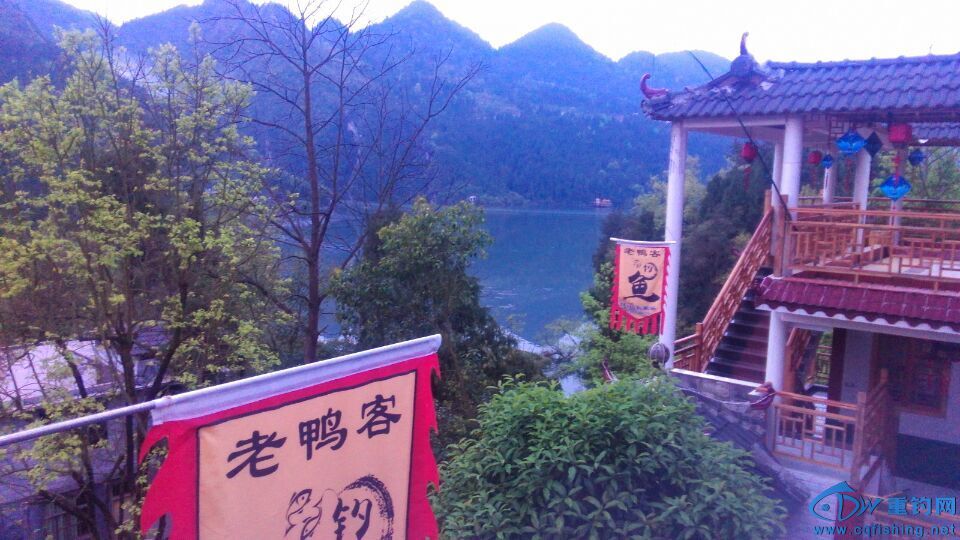 QQ图片20160408085030.jpg