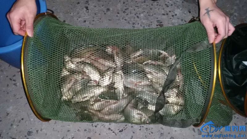 150238du5iz5koi5fiil55.jpg