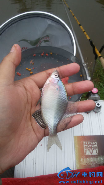 20160409_170921.jpg