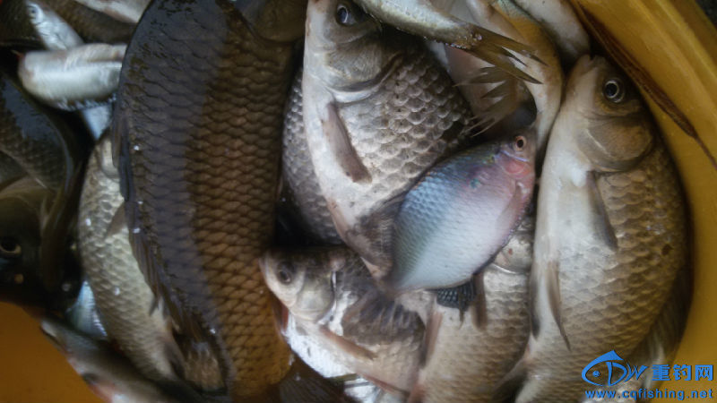 20160409_183405.jpg