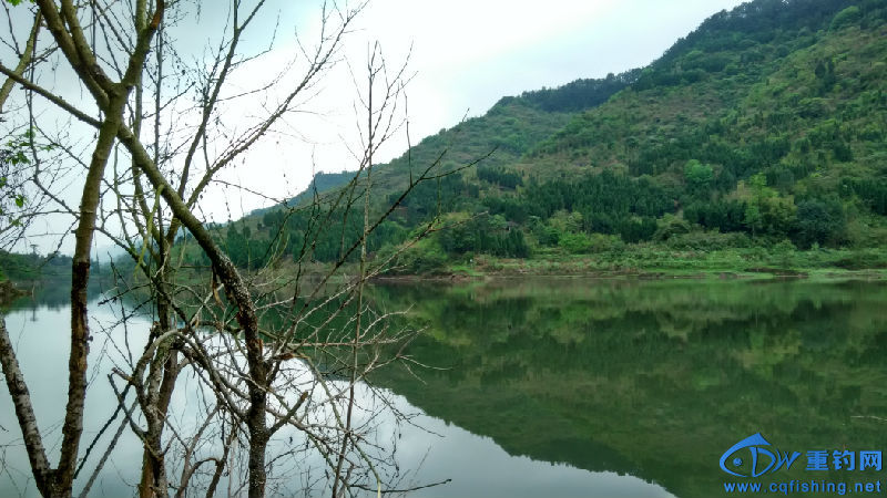 IMG_20160410_121015_HDR.jpg