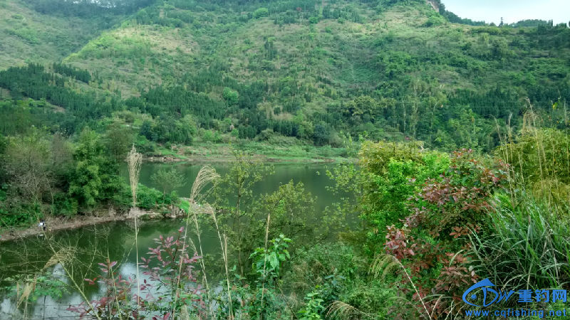 IMG_20160410_151939_HDR.jpg