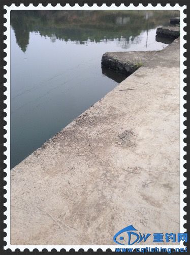 image.jpeg