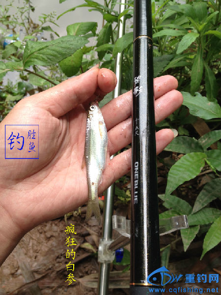 IMG_1544 拷贝.jpg