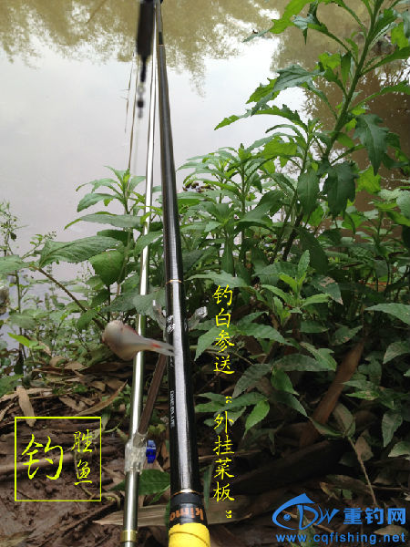 IMG_1547 拷贝.jpg