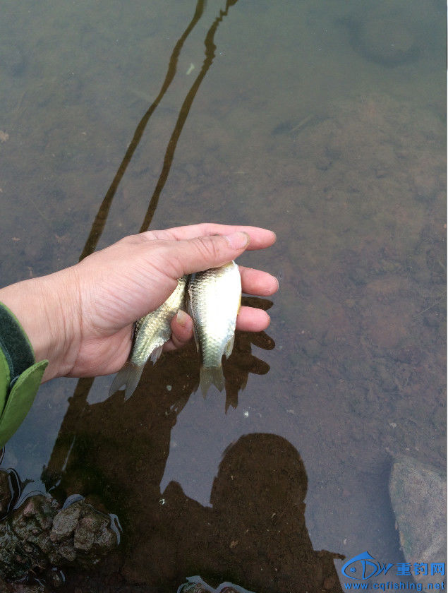 QQͼƬ20160430160449.jpg