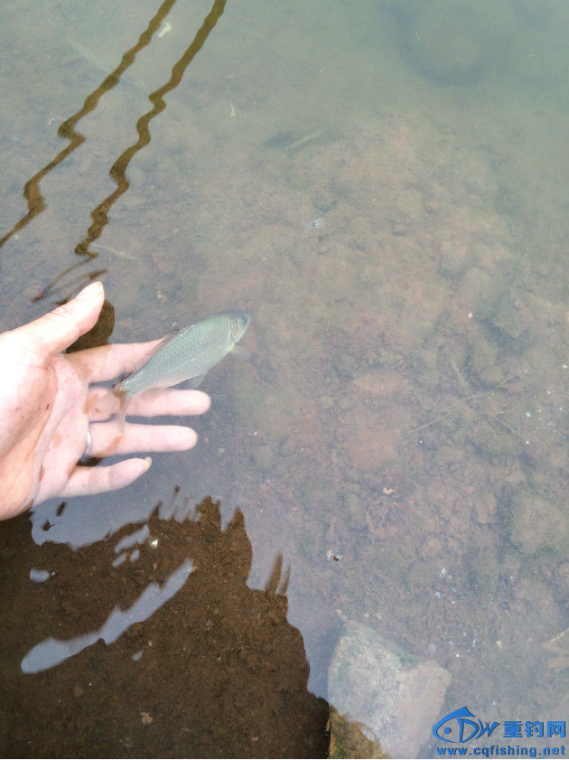 QQͼƬ20160430160520.jpg