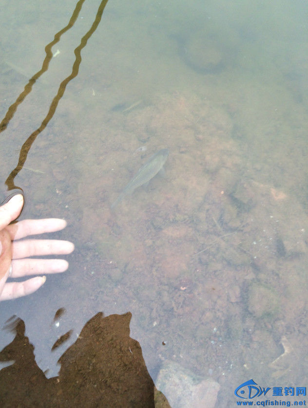 QQͼƬ20160430160533.jpg