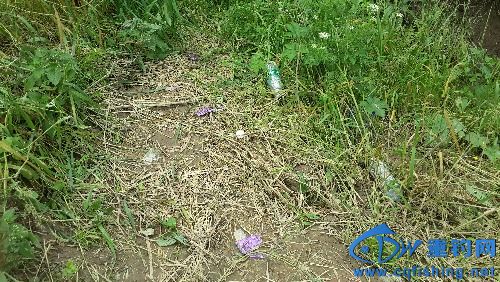 20160501_135225.jpg