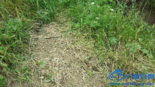 20160501_135555.jpg