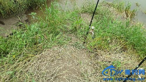 20160501_135559.jpg
