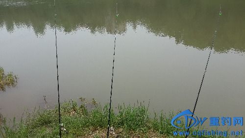 20160501_135149.jpg