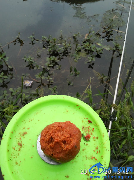 IMG_20160430_154532.jpg
