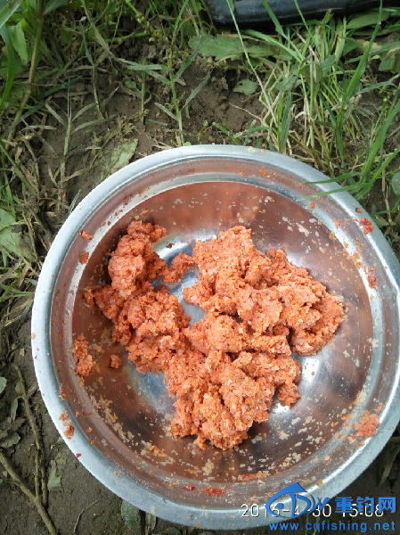 IMG_20160430_150822.jpg