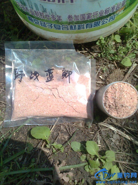 照片2671.jpg
