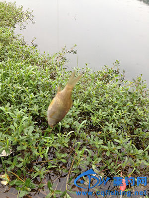 IMG_6292.jpg