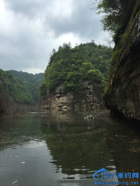 QQ图片20160514130705.jpg