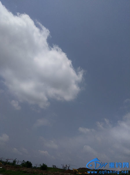 IMG_20160515_113449.jpg