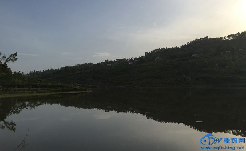 05.jpg