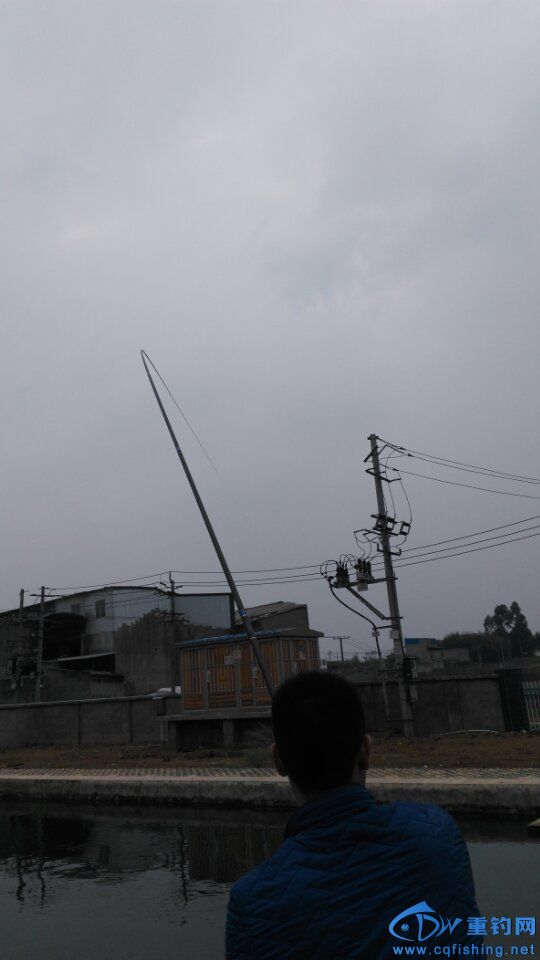 20160519_100048_011.jpg