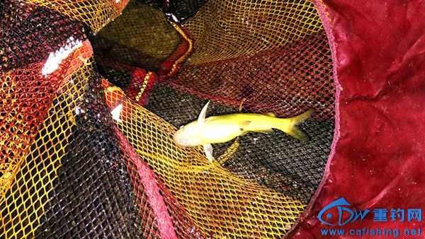 IMG_20160430_201258__.jpg