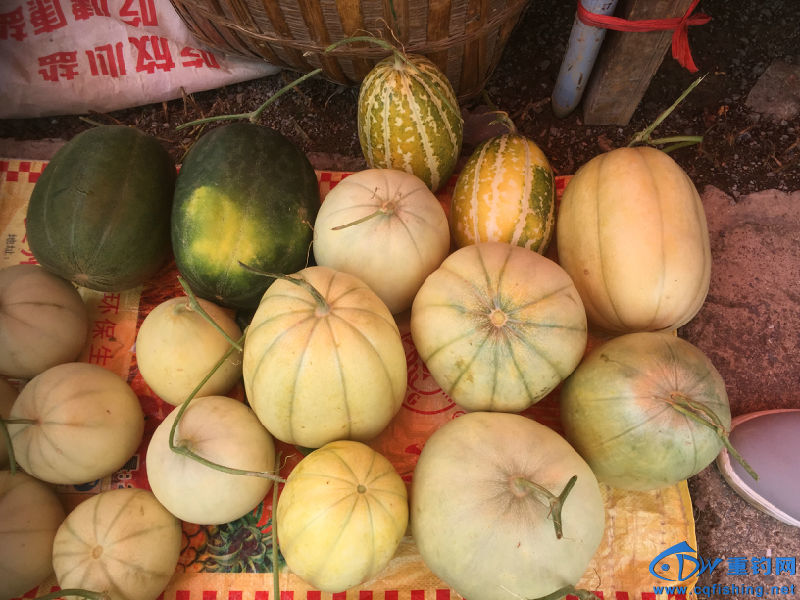 照片 005.jpg