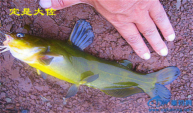 090813dledwyij59z9ysfl_meitu_2_meitu_20.jpg