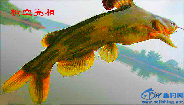 171545ac22cd2f2i16sc36_meitu_3_meitu_23.jpg