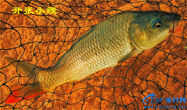 210151gucp2i2gk2ii22mc_meitu_10_meitu_1.jpg