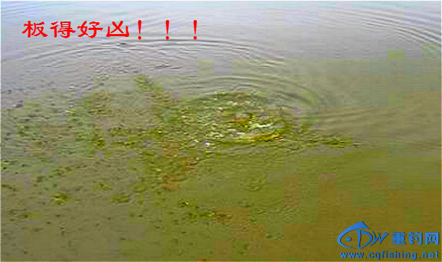 235356etmxoeppp88medom_meitu_15.jpg