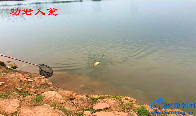 mmexport1464606100855_meitu_2_meitu_27.jpg