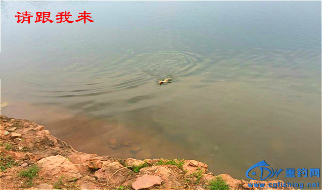mmexport1464606120301_meitu_6_meitu_32.jpg