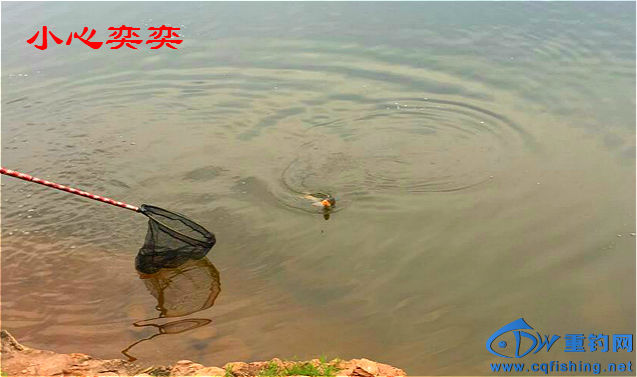 mmexport1464606105228_meitu_3_meitu_28.jpg