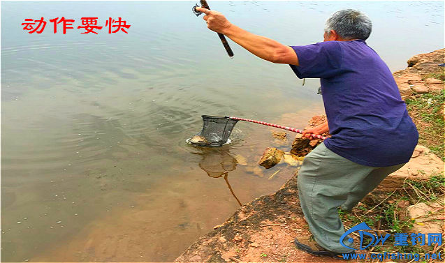 mmexport1464606109870_meitu_4_meitu_29.jpg