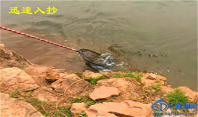 mmexport1464606125783_meitu_7_meitu_33.jpg