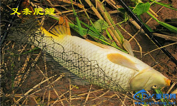 110237wr194gxeualk8xcb_meitu_4_meitu_21.jpg