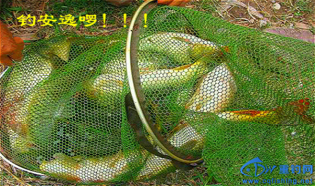 000604uz11pjua58m6w3c5_meitu_17_meitu_1.jpg