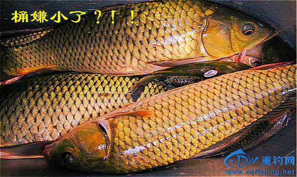 110504xpapa9zb9pa598n8_meitu_6_meitu_22.jpg