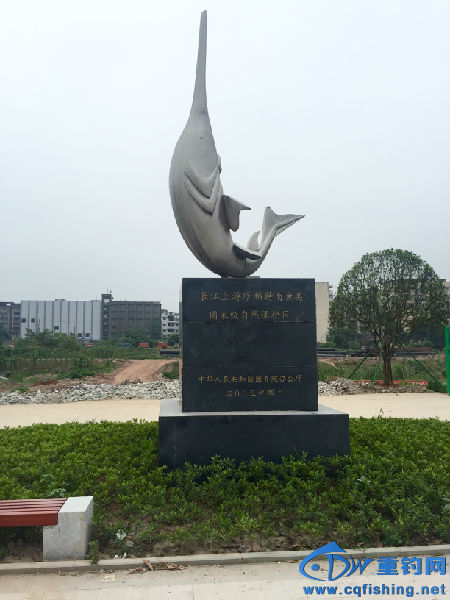 长江保护.jpg
