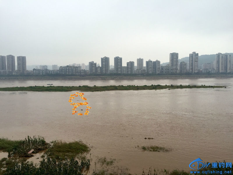 游泳.jpg