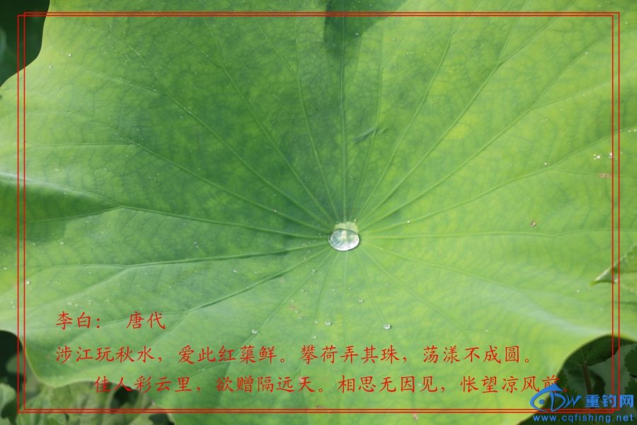 7ʺŪ(2).jpg